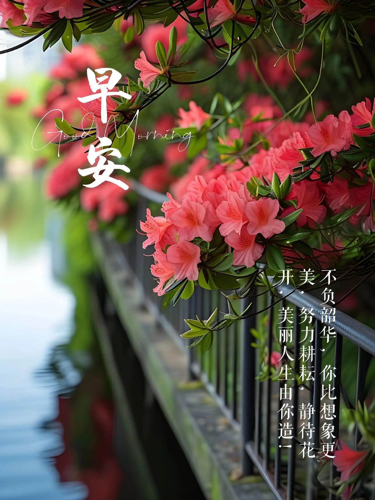 #分享一张农家小院的照片#

2024 年 10 月 6 日，星期日，早安！让正