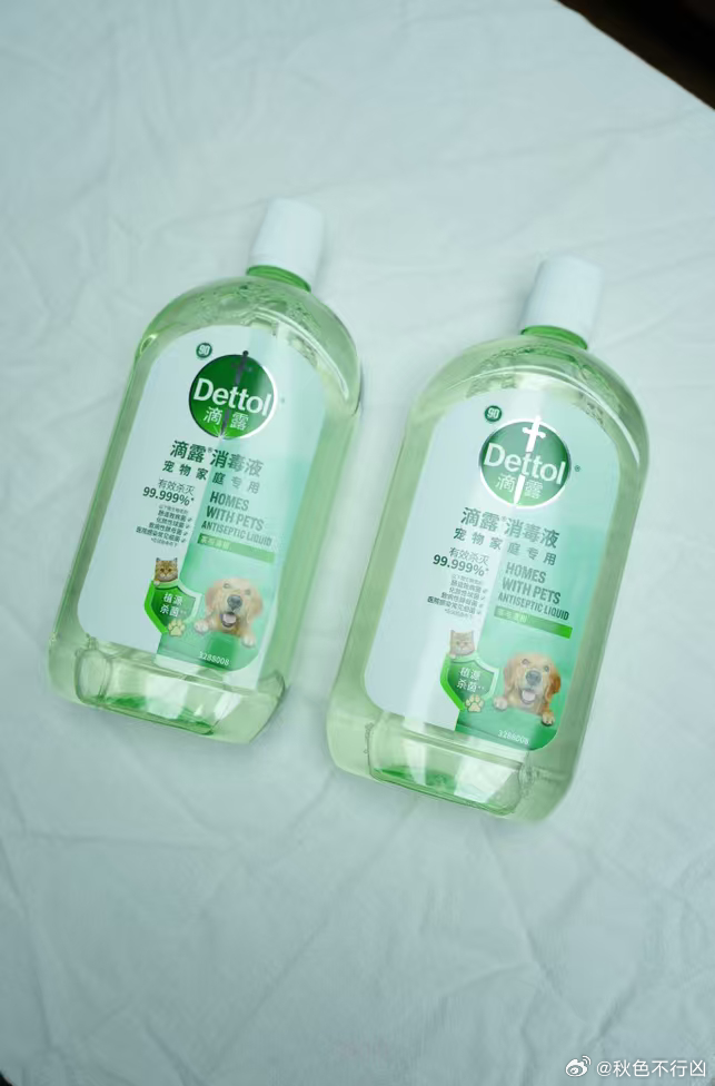 猫砂盆清理别直接倒滴露原液，按照配比稀释擦拭去污除味，避免过高浓度刺激猫咪脆弱的