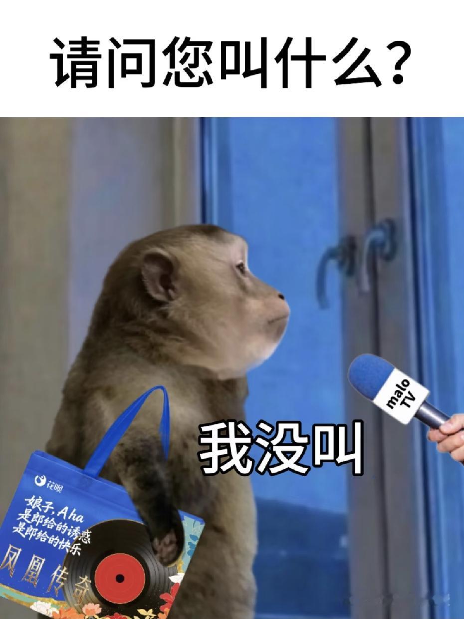 总有一些人抱有侥幸心理，觉得换个手机号、卸载支付宝，花呗借呗的债务就可以一笔勾销