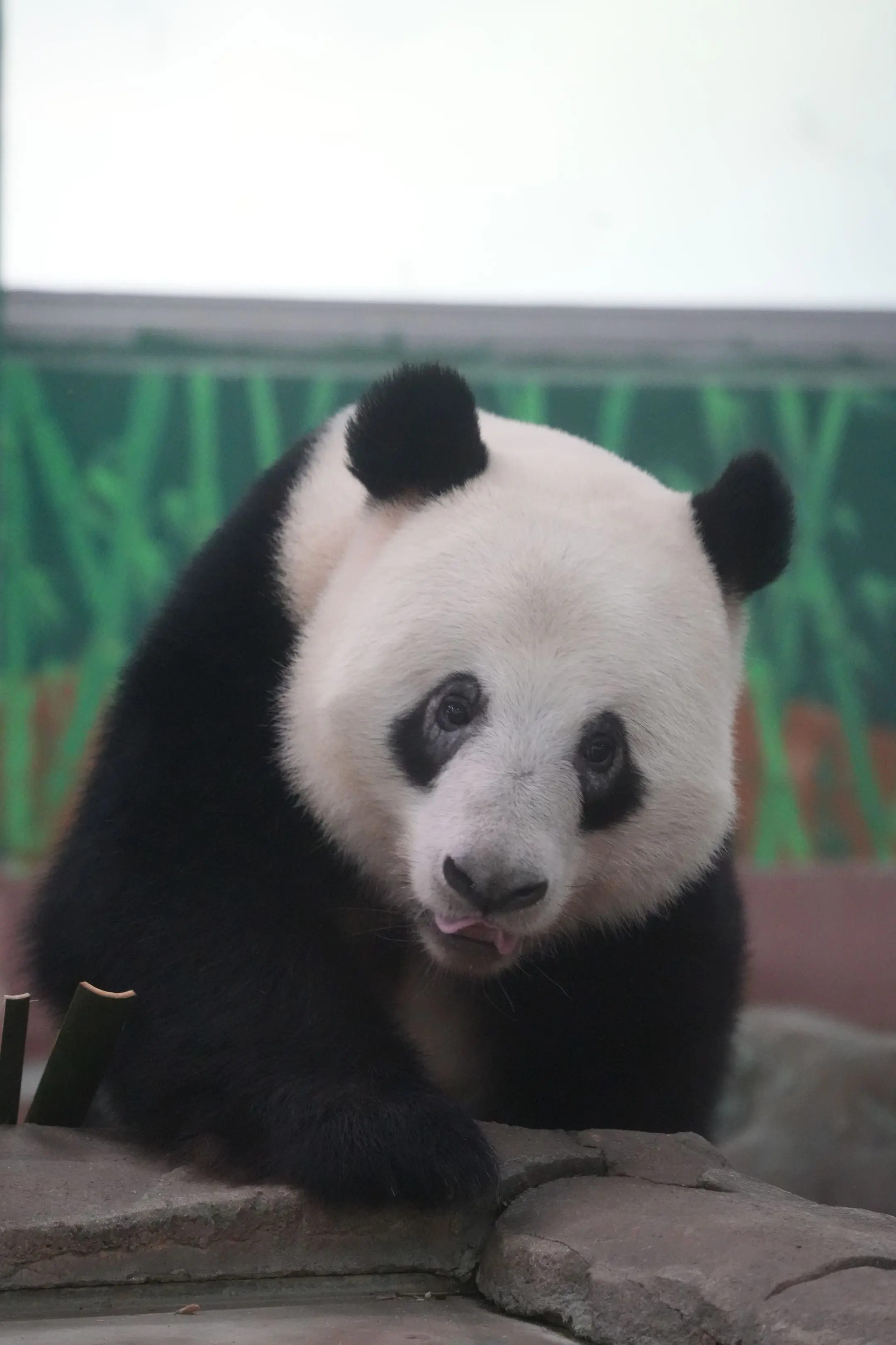 《删除好友》我们年轻人删除好友 是想不再联系 或者引起对方注意  而老...