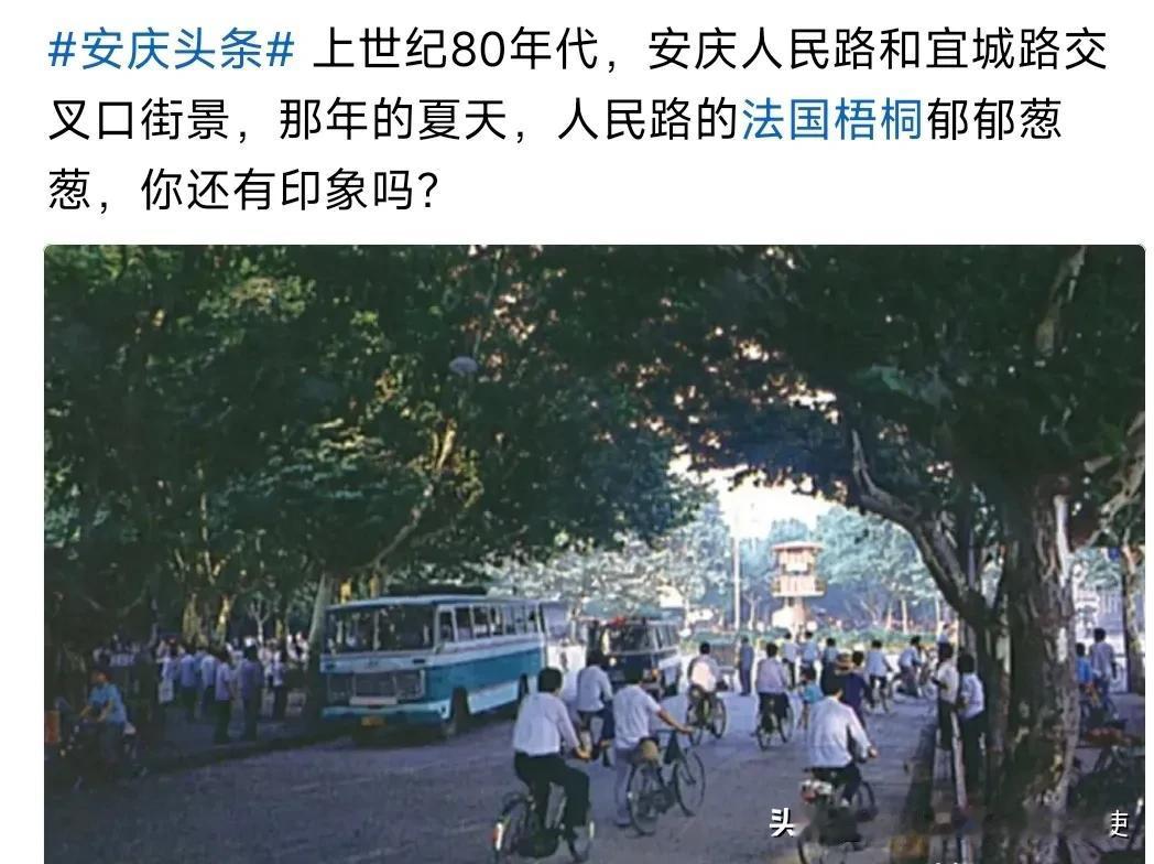 八十年代的安庆宜城路和人民路交汇口，从图片中可以看出来：那时的街道两边就已经绿树