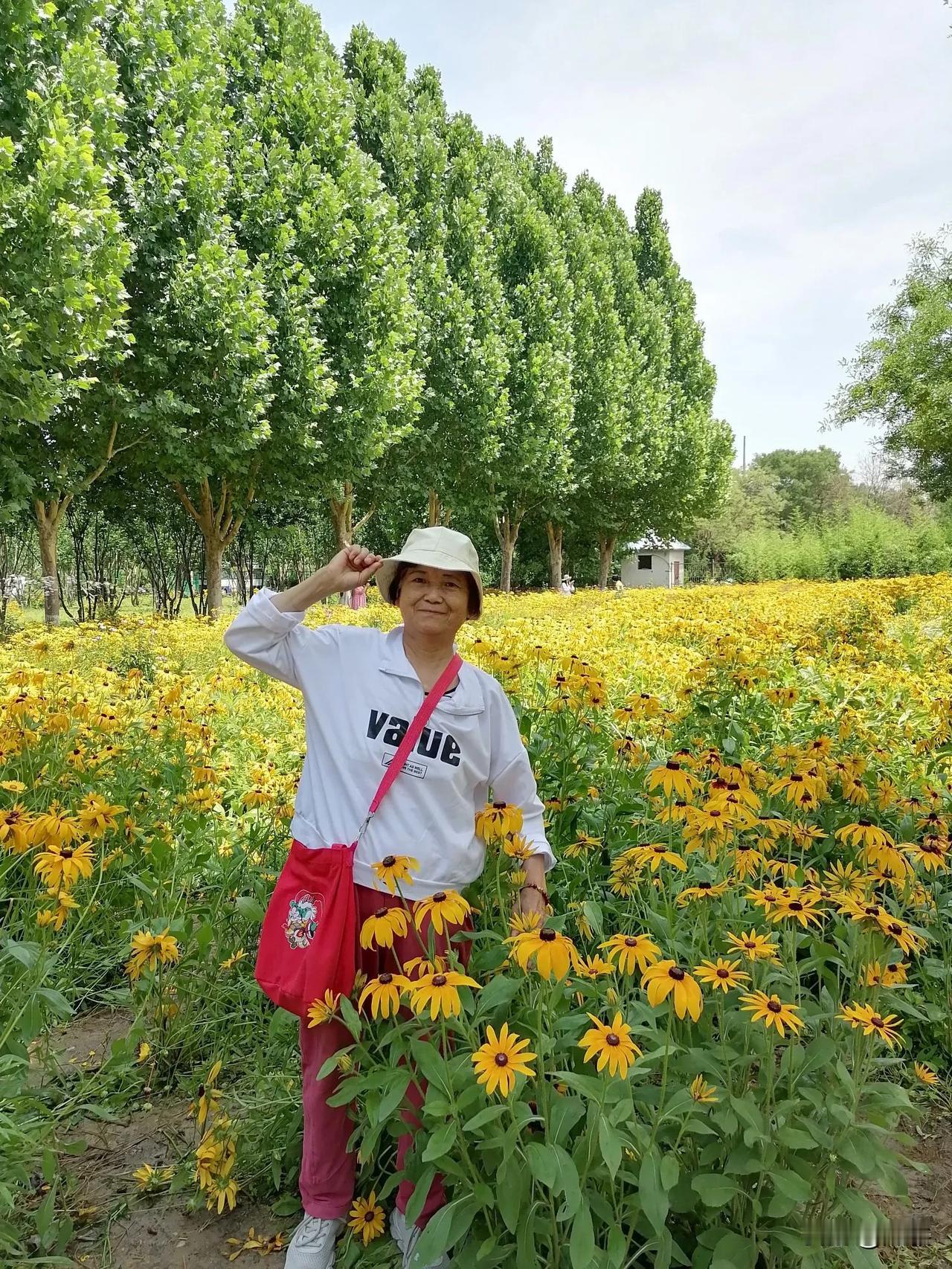 #拍一张秋日景色#
秋意浓浓景更浓，菊花绽开满城金。
岁月摇落寒将至，红梅傲雪又