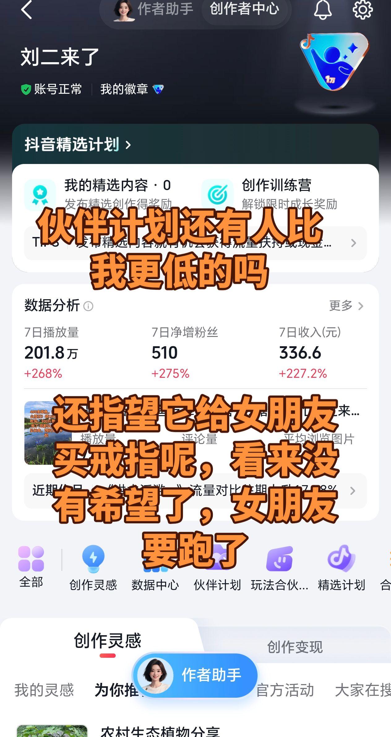 伙伴计划 抖音玩法合伙人计划 玩法合伙人计划 短视频变现