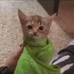 奔赴 