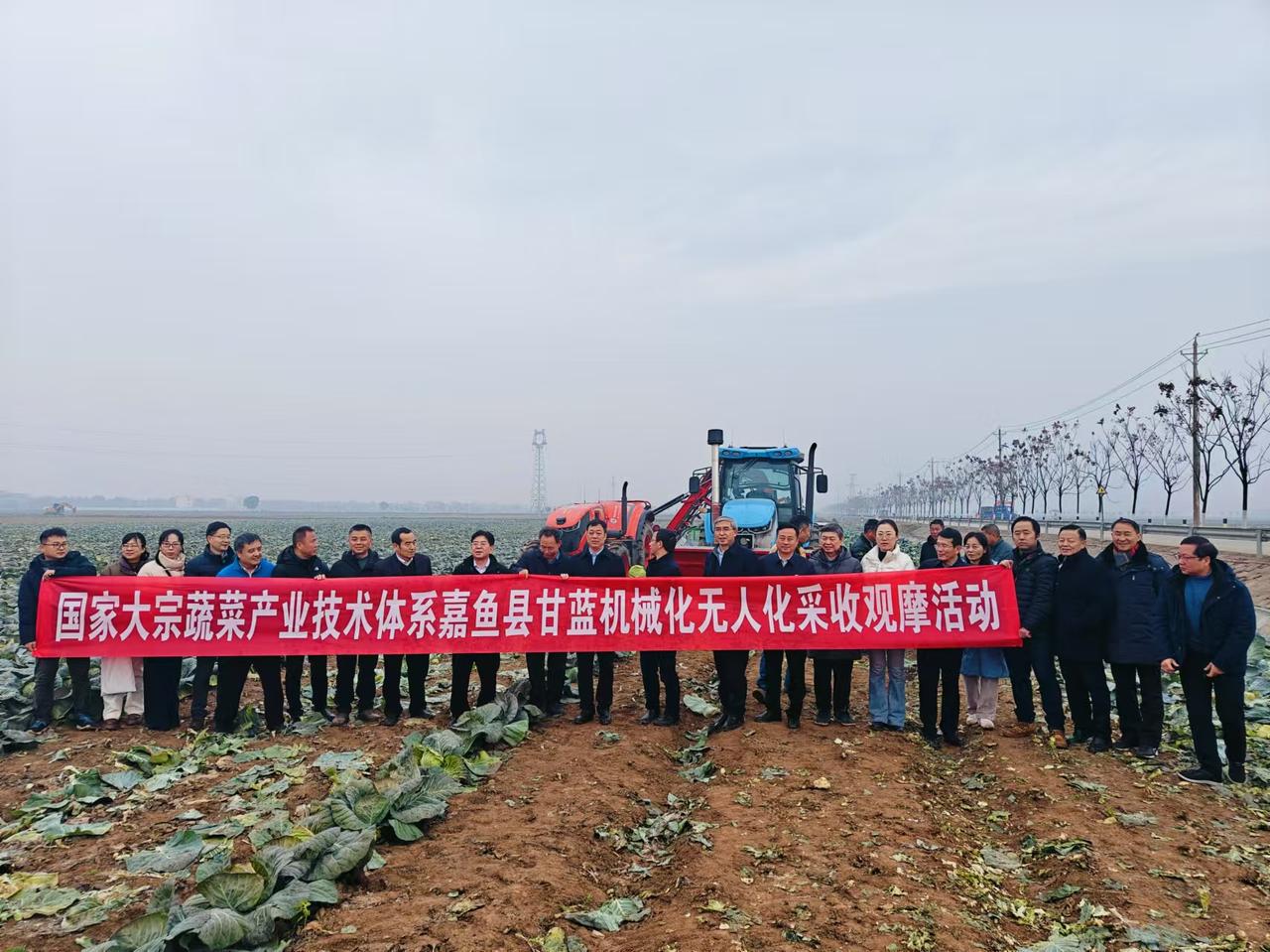 农业机械 甘蓝 收获机 抖音助农