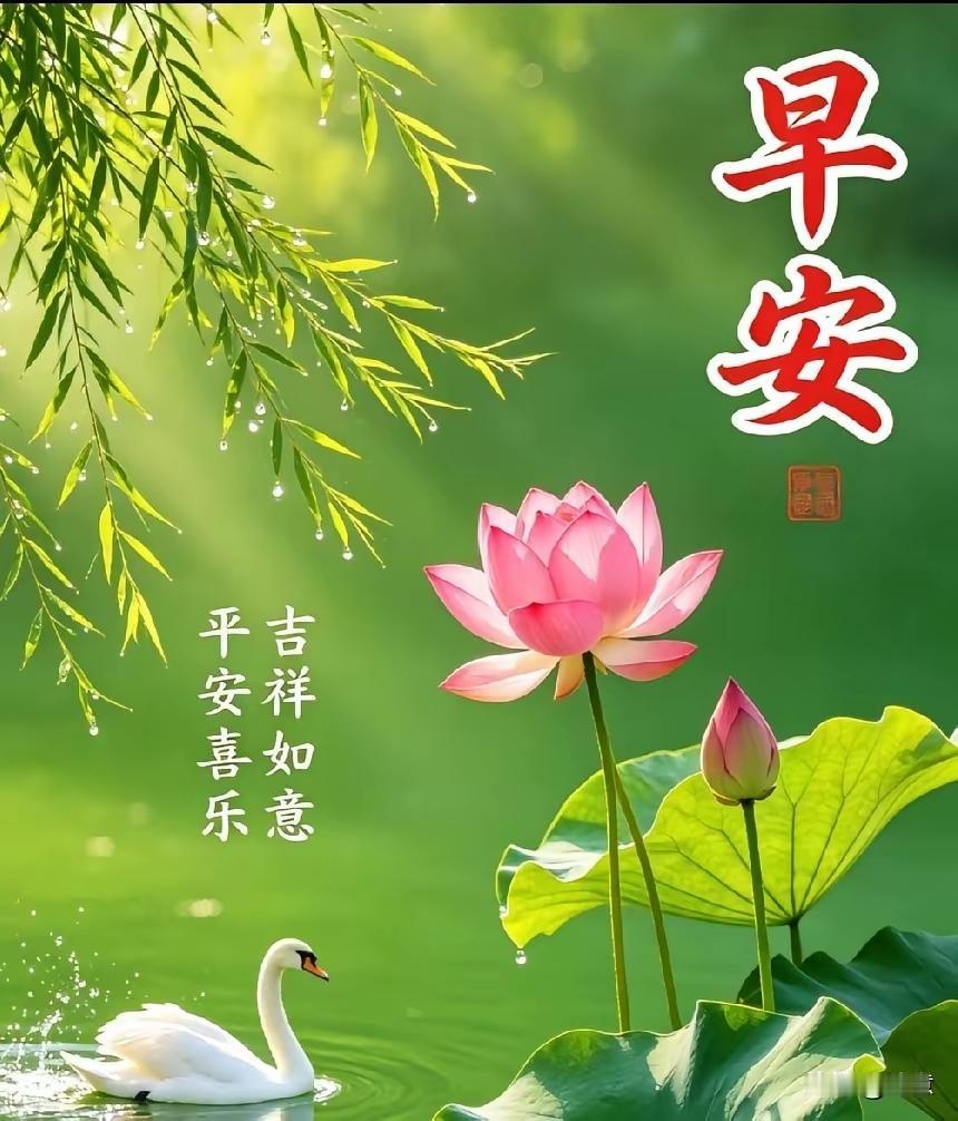 早上好，愿大家快快乐乐，幸幸福福[玫瑰][玫瑰][玫瑰]