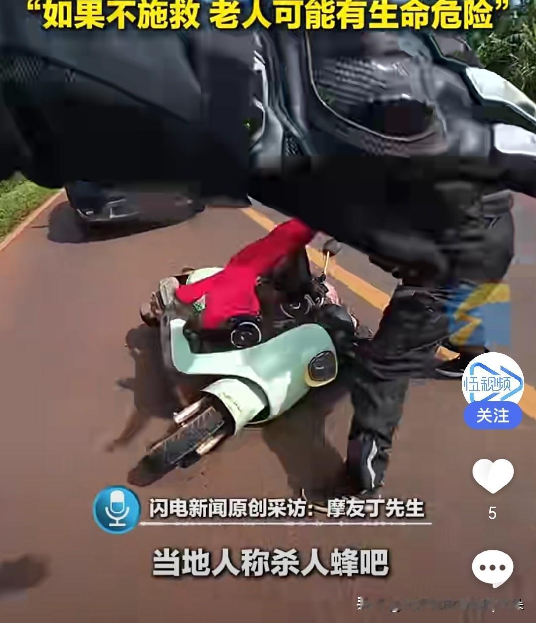 海南一老人遭“杀人蜂”围困 5名摩友头盔护头冒险救人

事件概述

11月21日