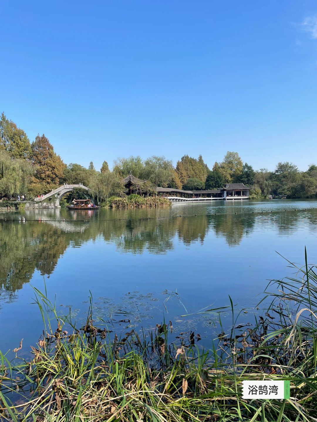 西湖别再去苏堤了，本地人才去的宝藏桃园