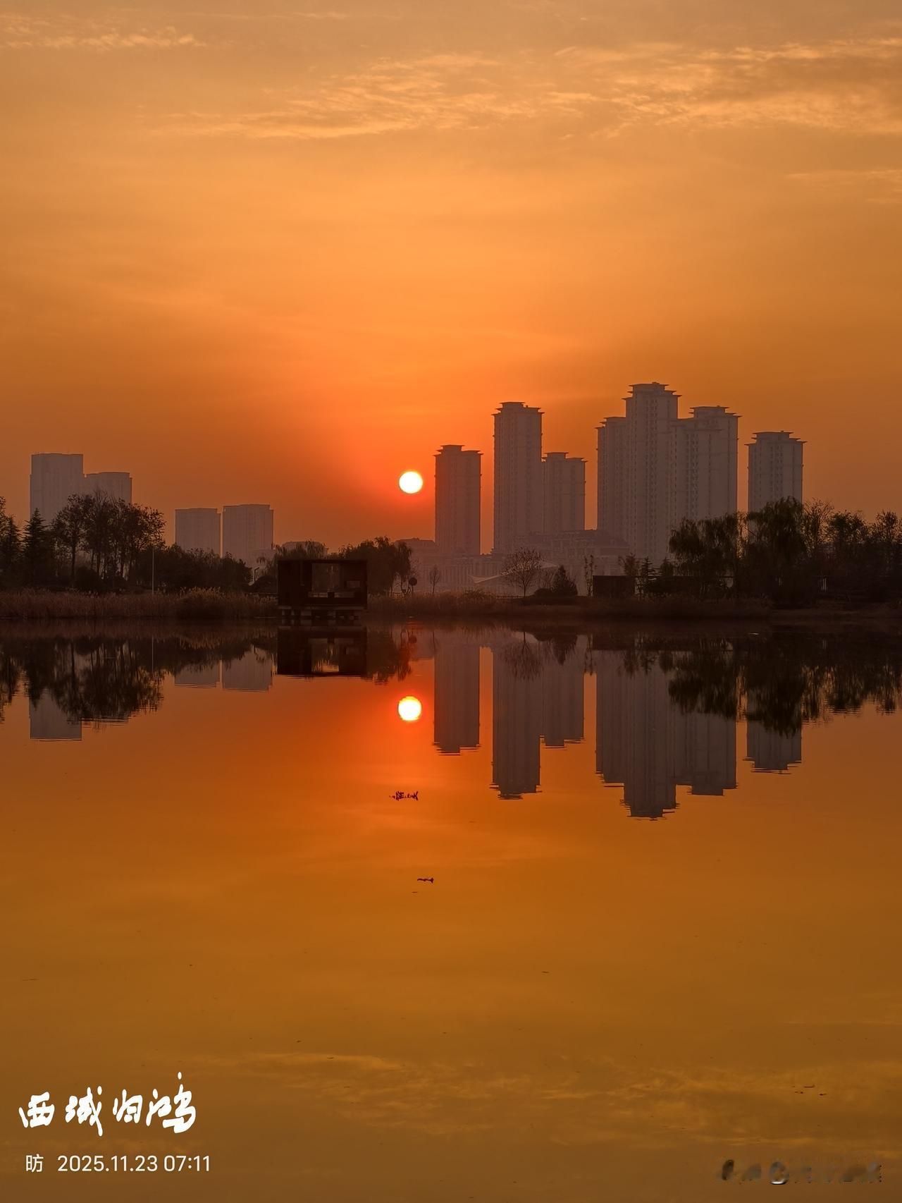 东营之美在疏朗大气。