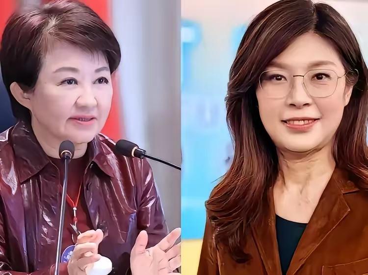 郑丽文终于对卢秀燕访美越界事件发声！一句“国民党不是一言堂”，语气温和包容，却清