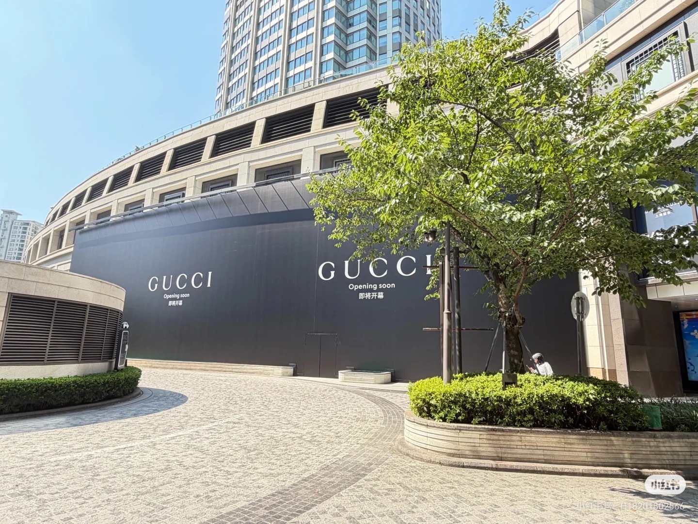 GUCCI女王的排面 