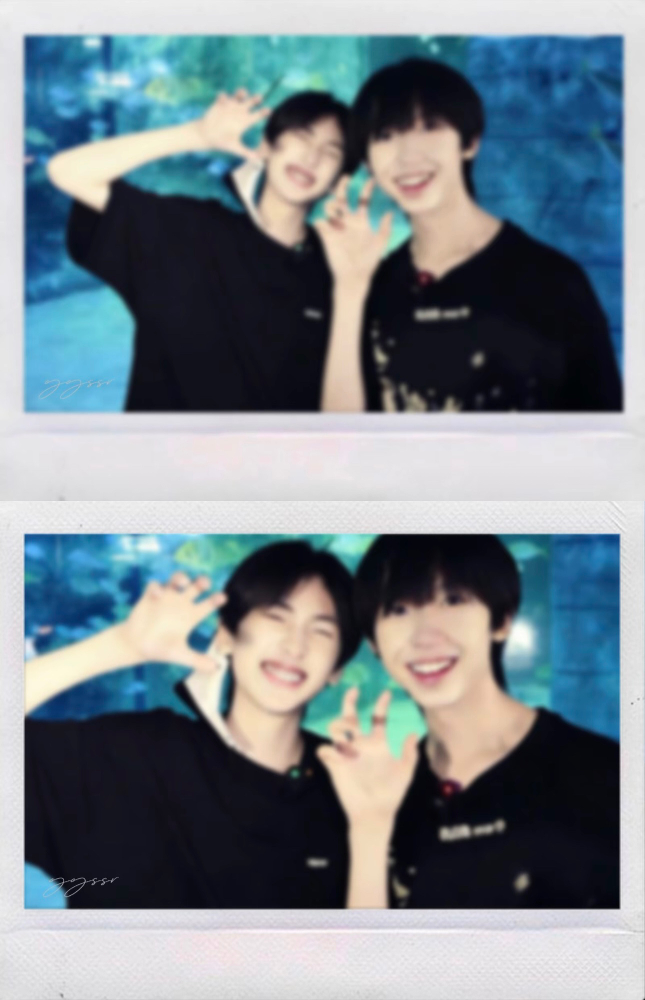 小鼠小羊第一次约会的二三事 