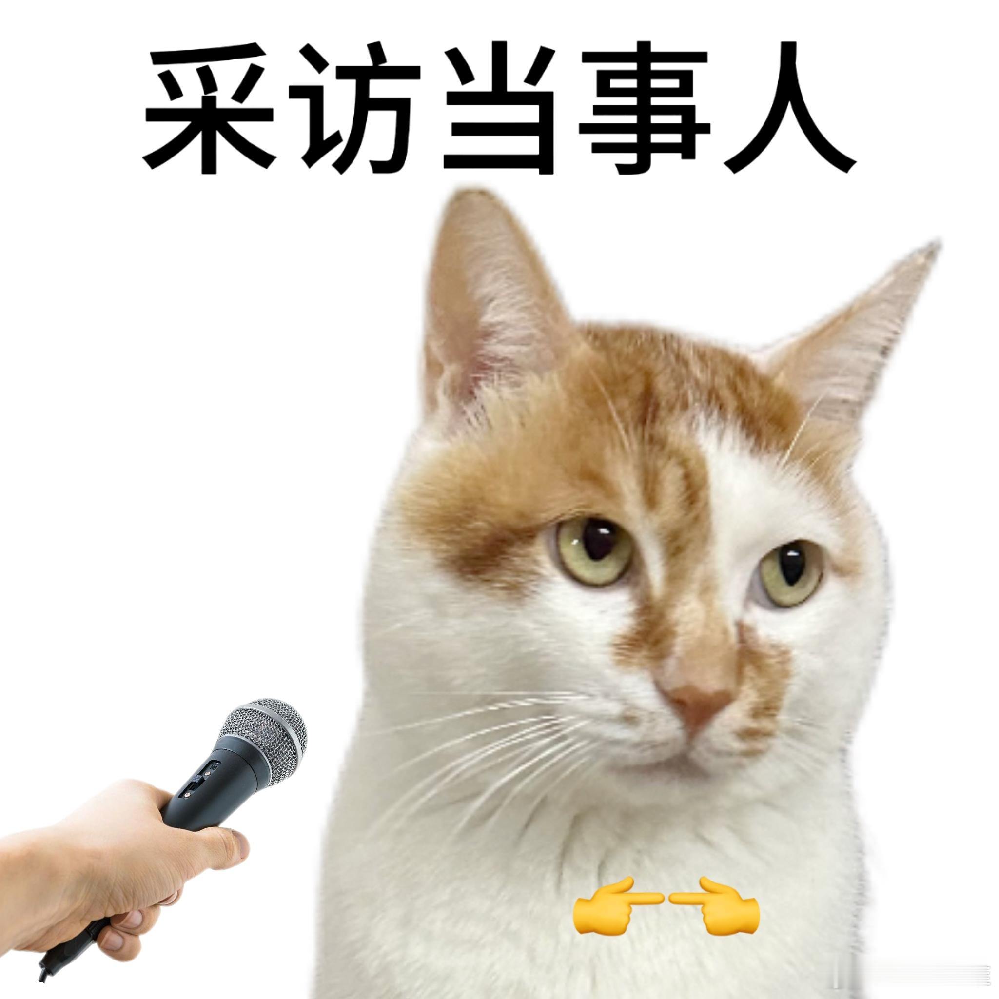 辛苦了一年，一无所获，努力了但也白费了。 