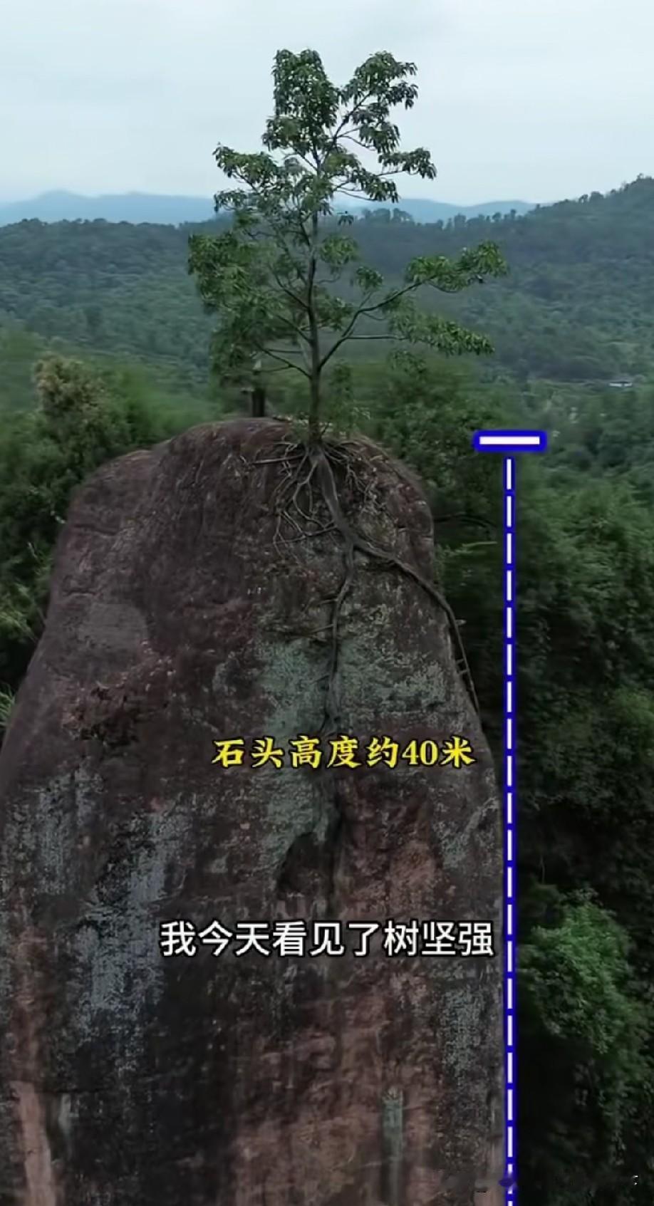 事实证明，只要没有阻拦，哪怕起点再低、环境再差、手里的牌再烂，普通人靠踏实努力、