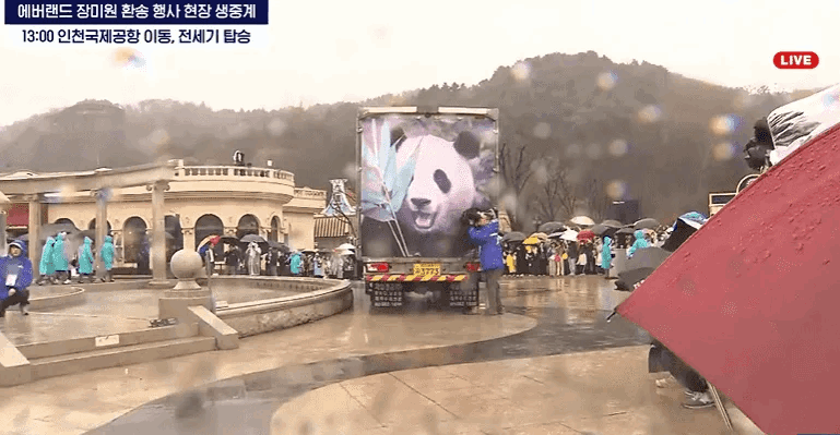 #福宝欢迎回家##直播福宝回国#迎接福宝回家，一路平安，和饲养员宋爷爷生活告一段