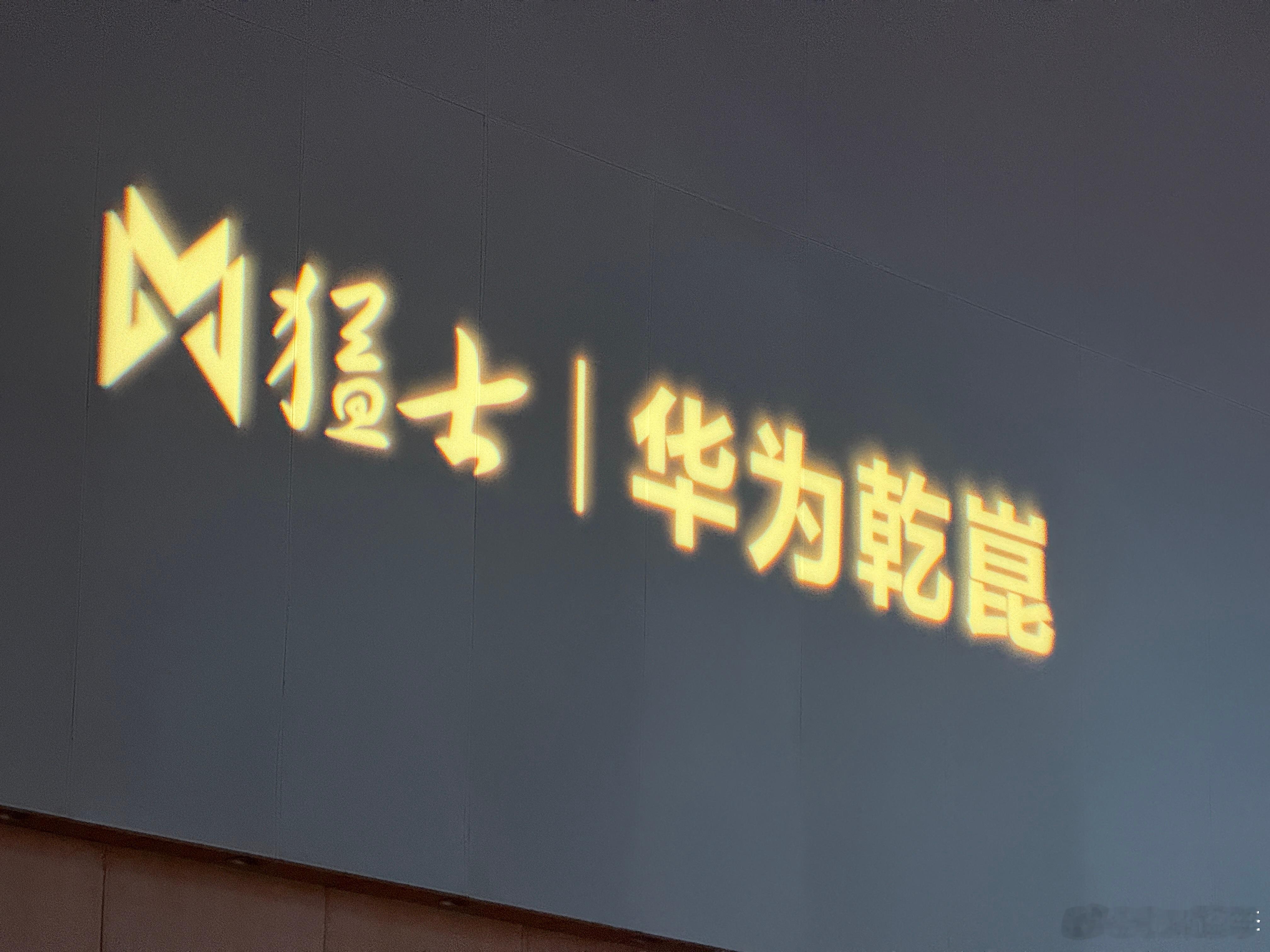 回武汉来参加猛士M817发布会这台车要我形容就是猛士m817 越野车里面智驾最好