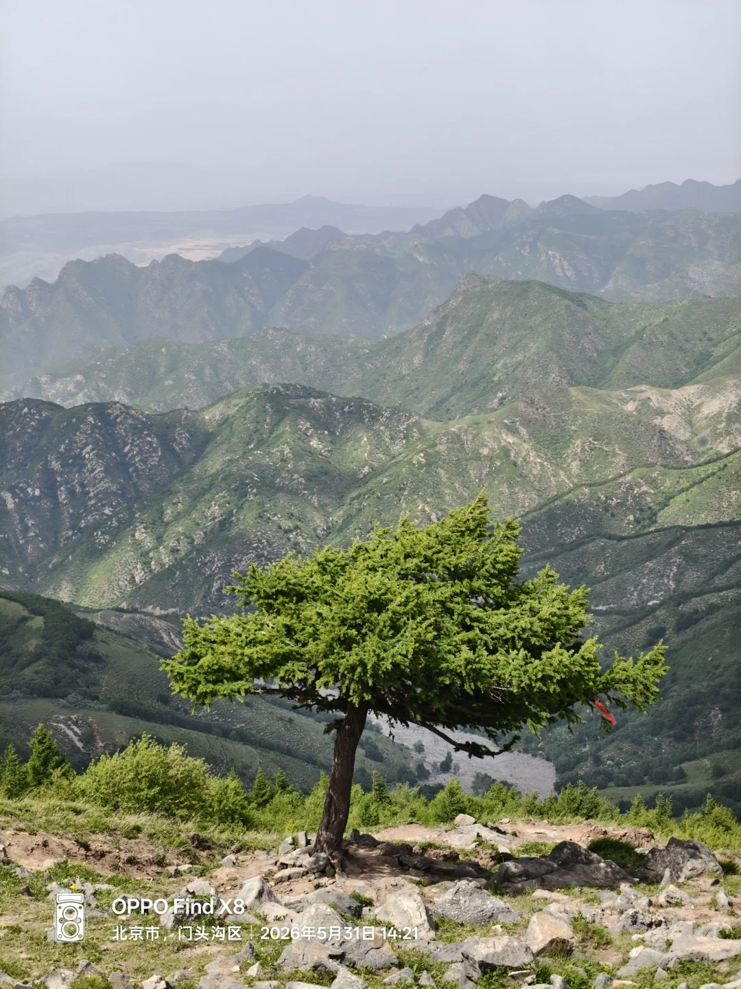 ⛰️北京小瑞士实锤！东灵山徒步治愈力MAX