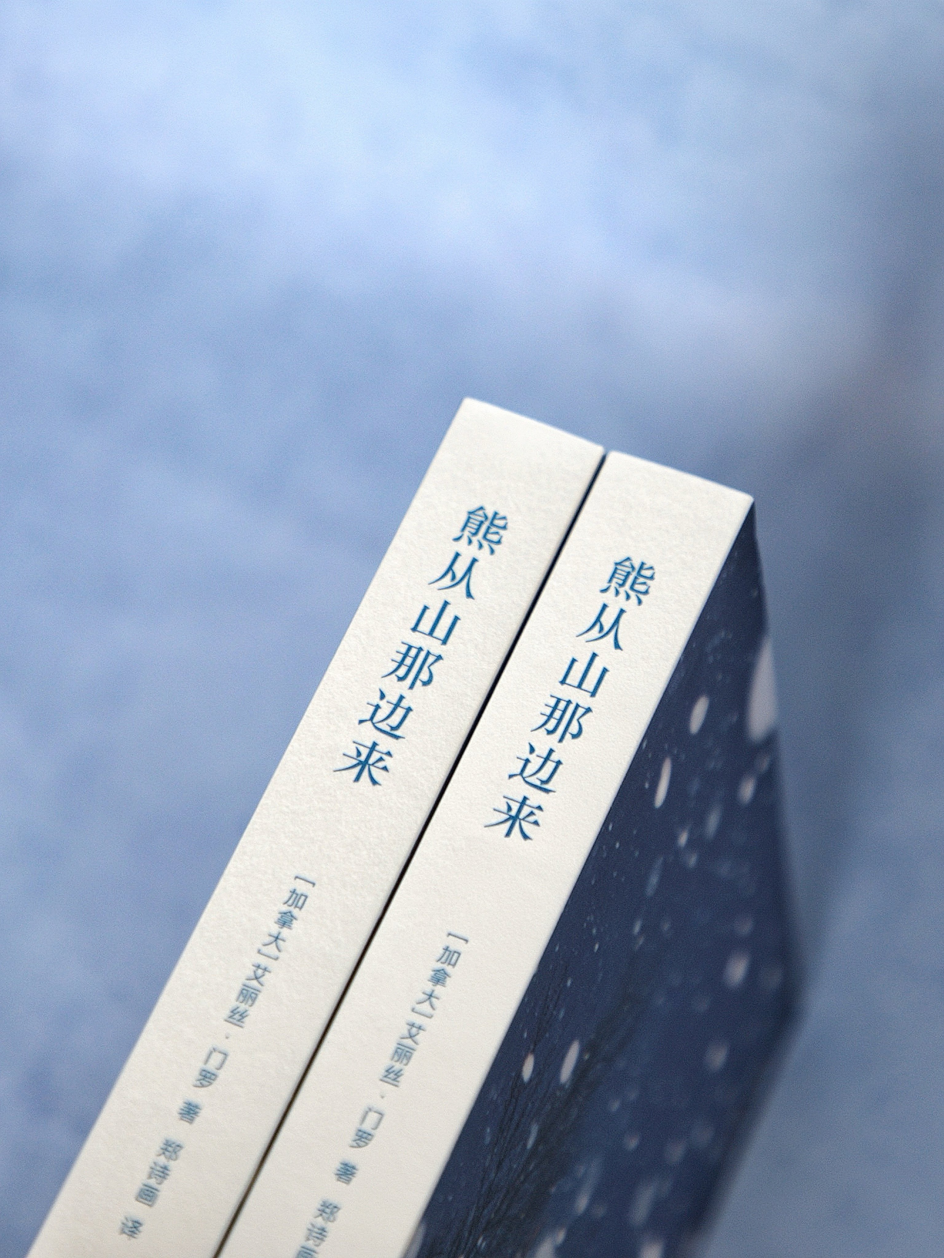 【转发赠书】《熊从山那边来》诺奖得主艾丽丝·门罗的巅峰代表作，奥斯卡提名电影《柳