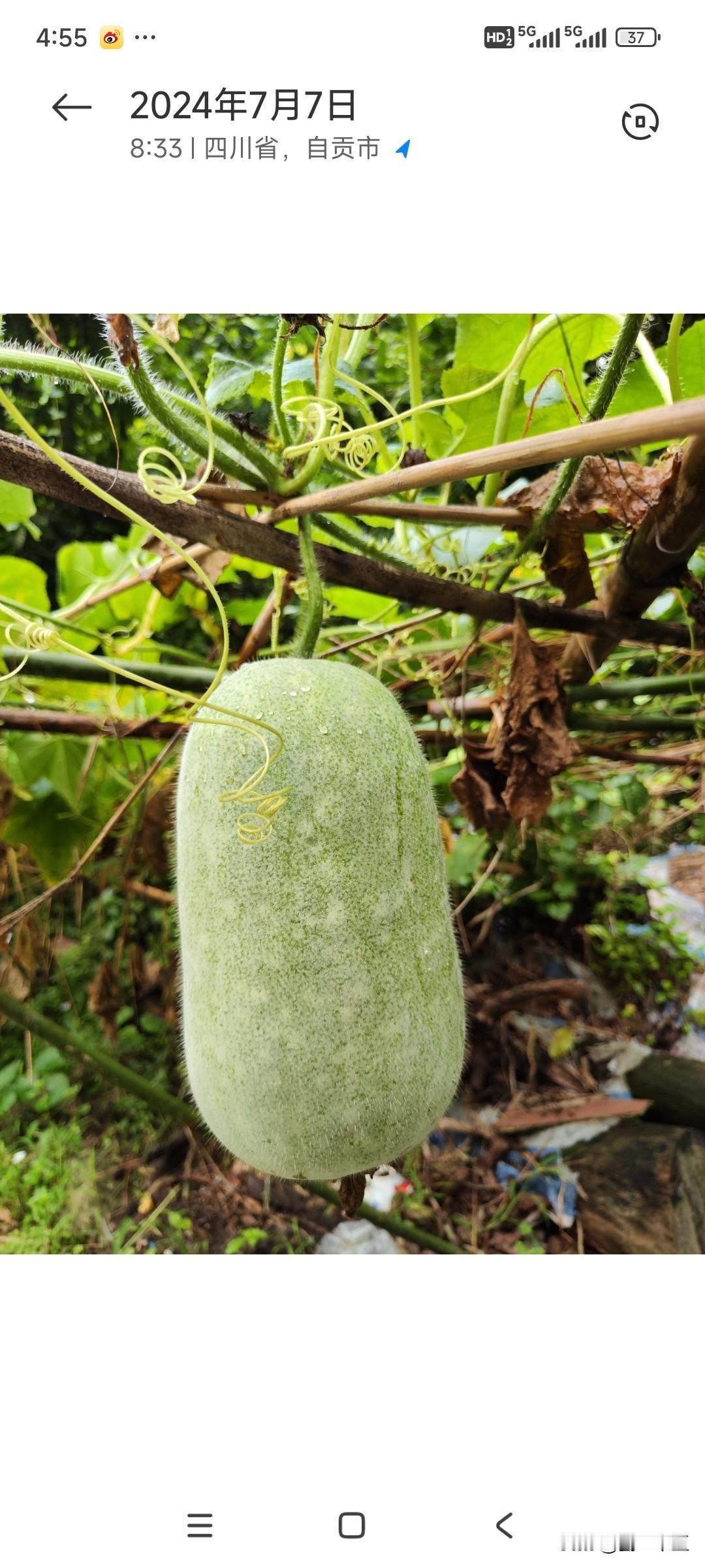 现在农村建房出现地基不犯边界、空中却能延长的情况，这究竟是被什么观念在支配呢？