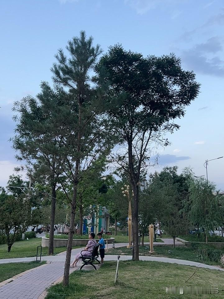 镜头下的兰州傍晚时分，微风拂过，热浪渐弱，走路，顿觉丝丝清凉，比白天舒适许多。风