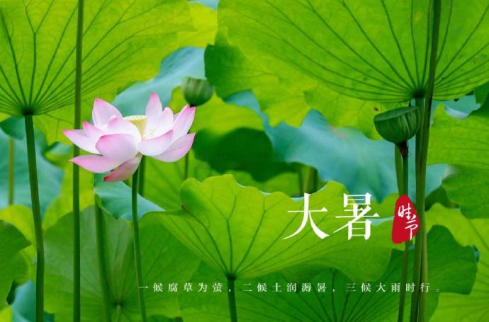 #夏天最后一个节气来了##今日大暑# 日盛三伏暑气熏，坐闲两厌是蝇蚊。纵逢战鼓云