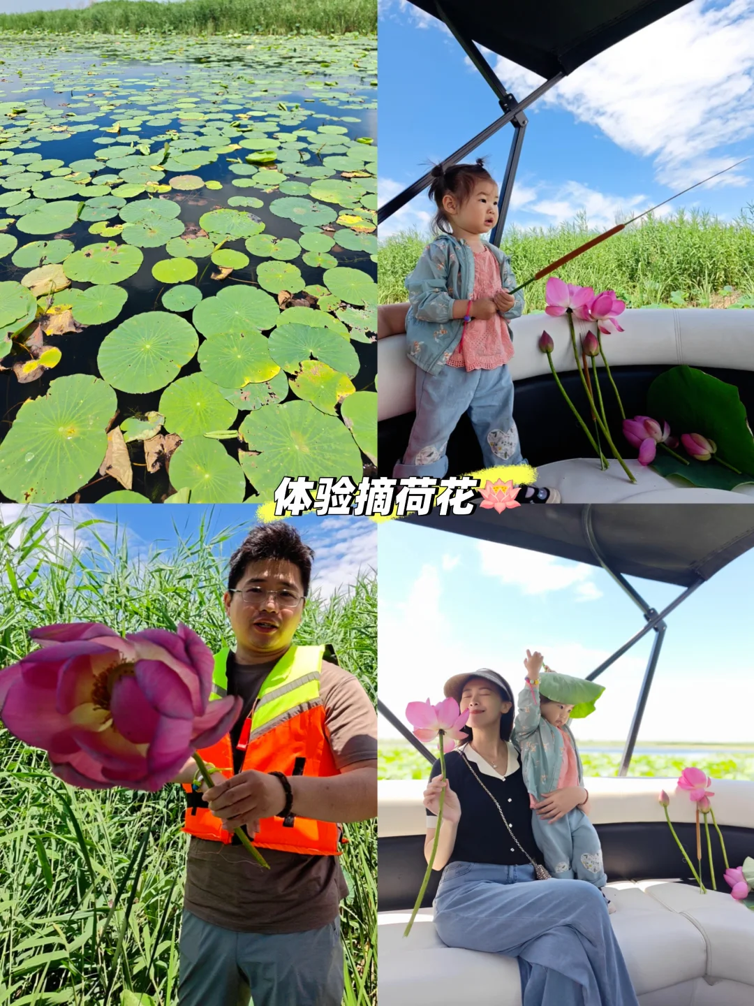 两岁宝宝周末自驾雄安的超推荐行程安排