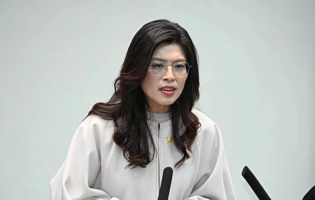 真相大白了，不装了，彻底"摊牌"了，张亚中首次承认，针对郑丽文的提案就是自己主导