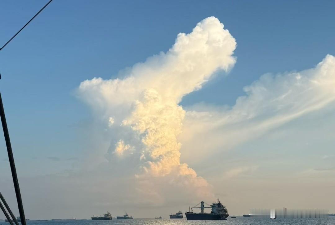 1. 真正高级的觉醒，从来不是一场对人性的屠杀，而是一场温柔的和解。
2. 神性