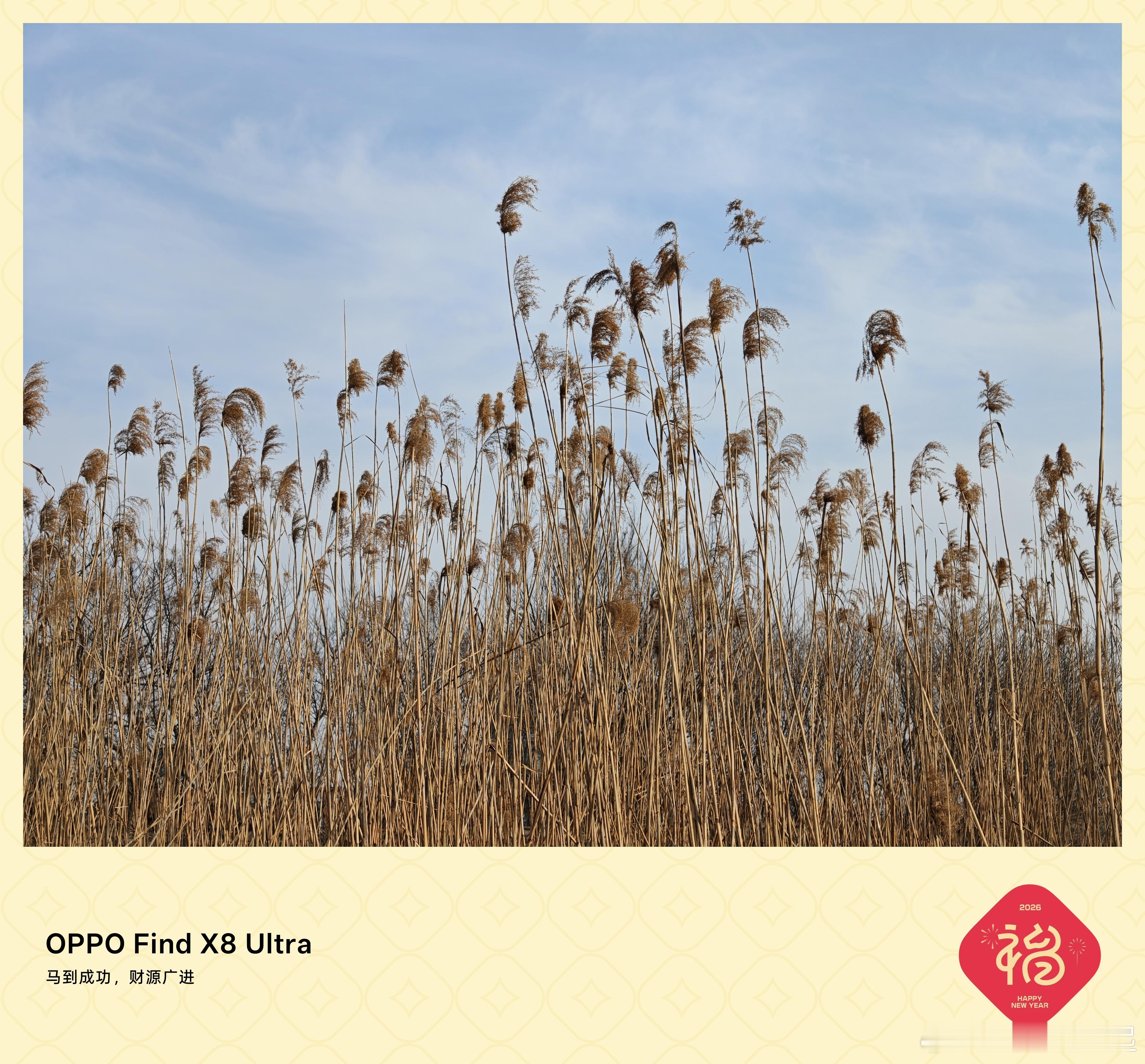 春节期间，感觉长江的货轮都少了很多 