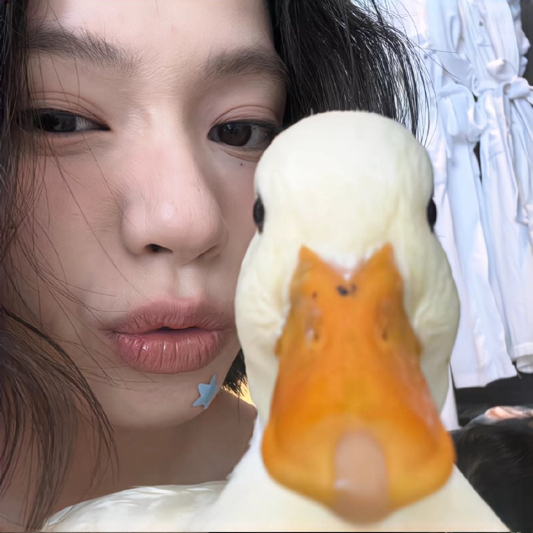 𝐖𝐞𝐜𝐡𝐚𝐭｜氛围感｜ins风｜权威｜女生头像｜审美积累 