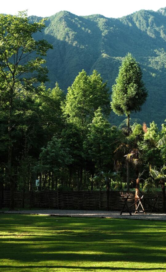 雨后，当第一缕阳光照进山谷