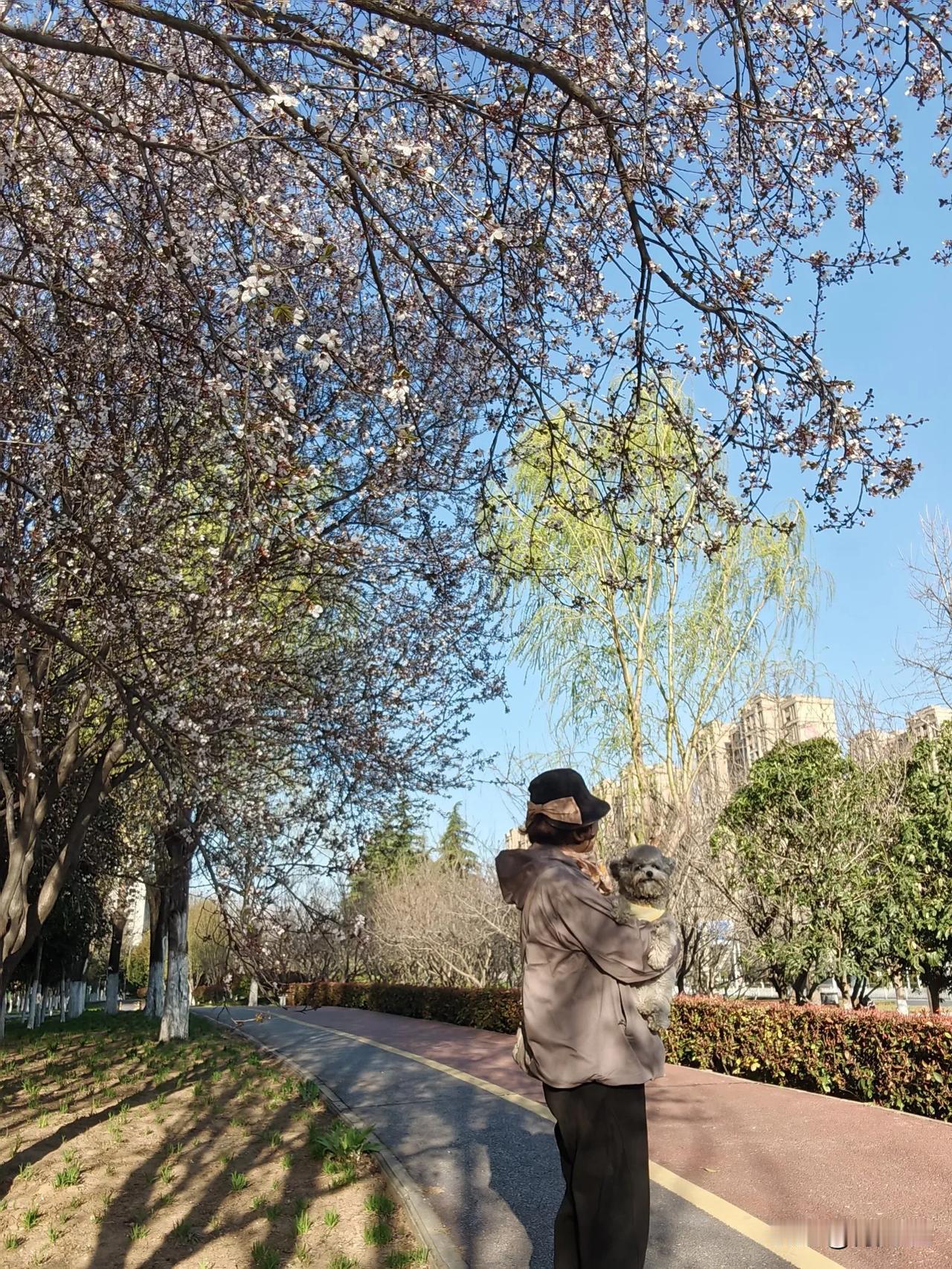王小波有个作品叫《沉默的大多数》
我喜欢的不是它的内容
而是这个标题
因为我潜意