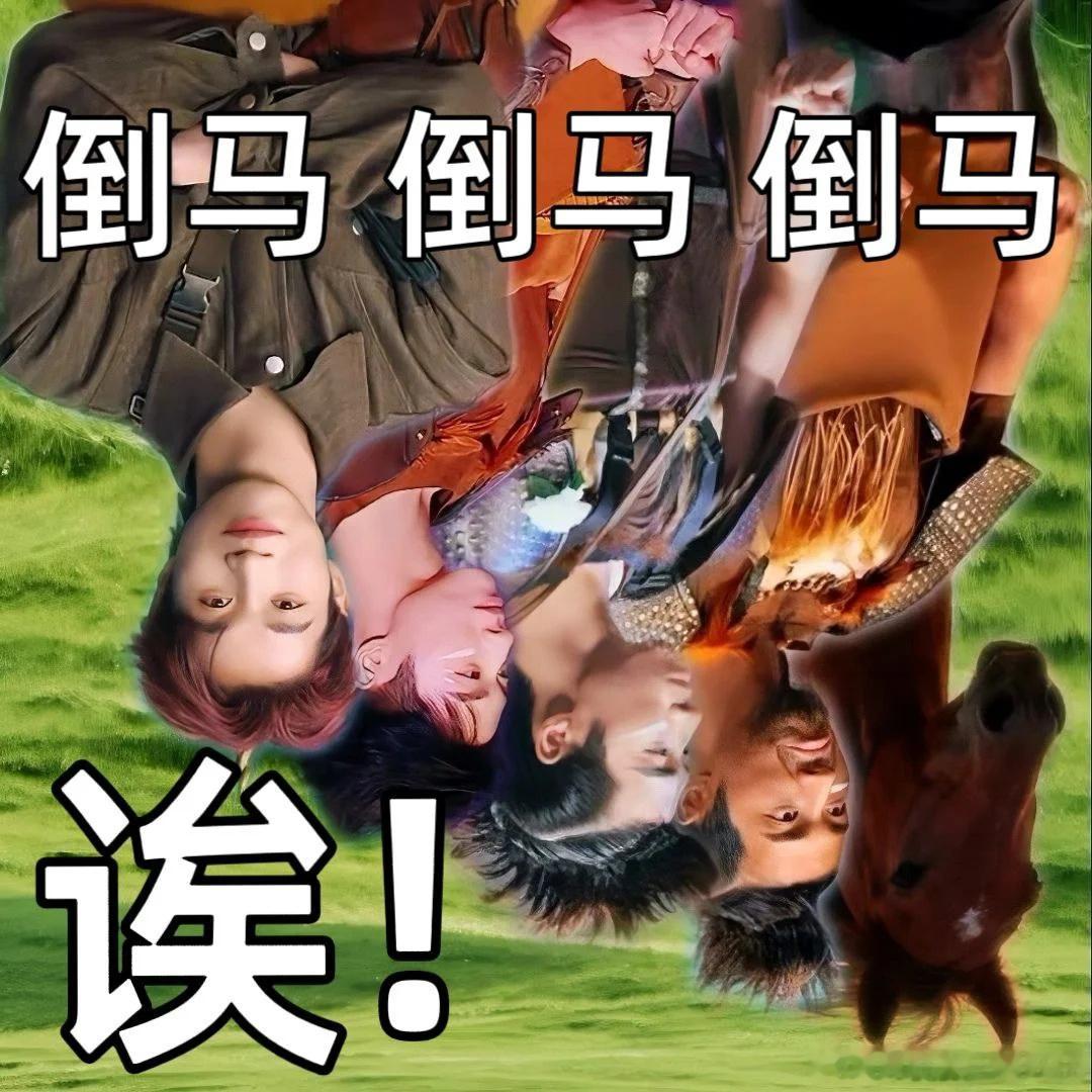 是谁想的让半人马和孙天宇坐一桌 笑不活了！孙天宇被半人马围堵硬控全场😂 乌兰图