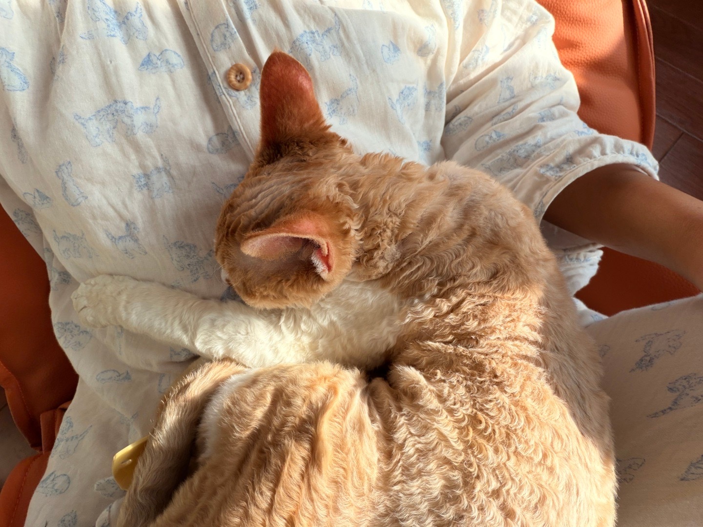 日子呀 一天天打着滚往前跑 