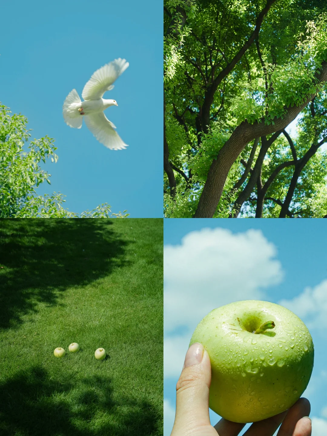 摄影｜夏天好像真的要结束了 🍃🍃