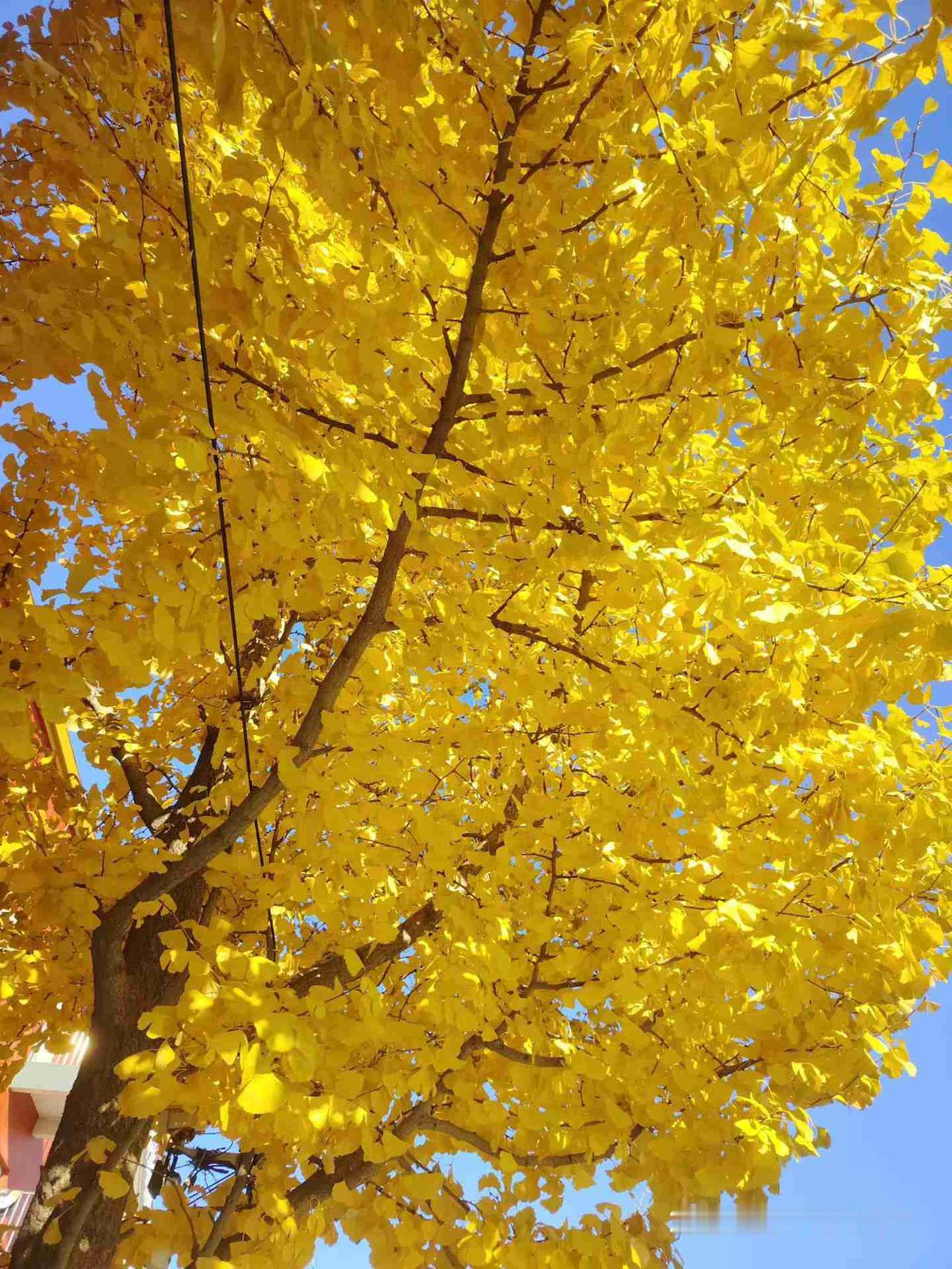 我的今日状态：😁轻松愉快
我这里的天气：☀️晴天