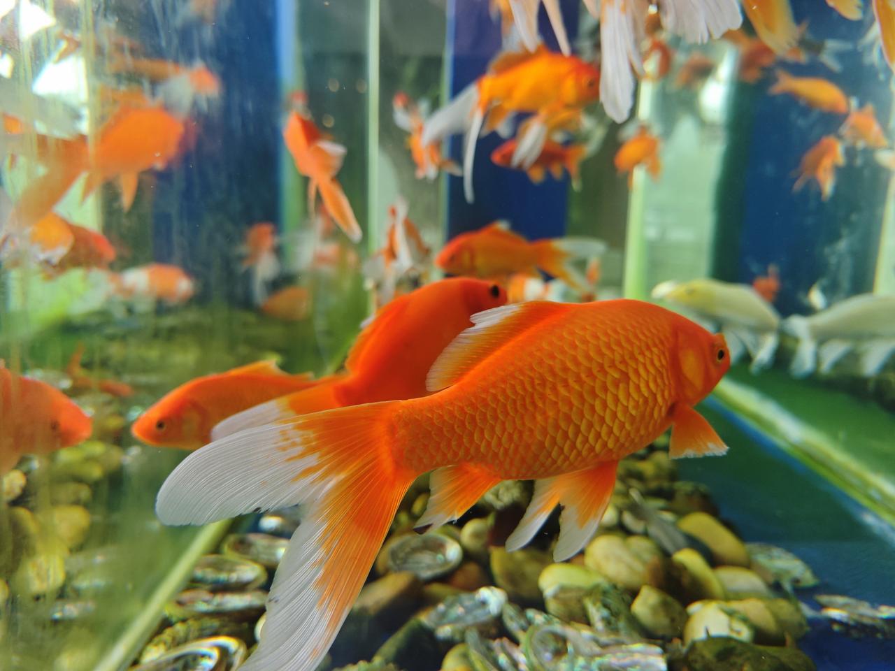 没有人可以回到过去，但谁都可以从现在开始，路不通就转弯，心不悦就看淡，有前进一寸