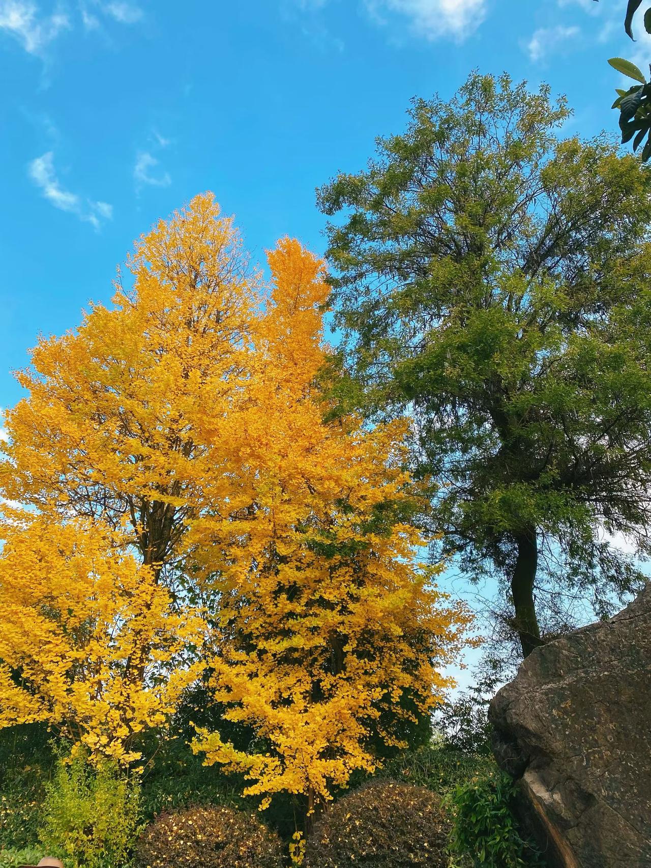 在股市一定要记住！
1，没有把握的，看不懂的股票不要买！
2，成本不够低的股票，