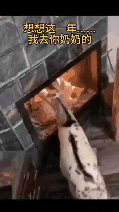 是啥让你这么想不通呢？