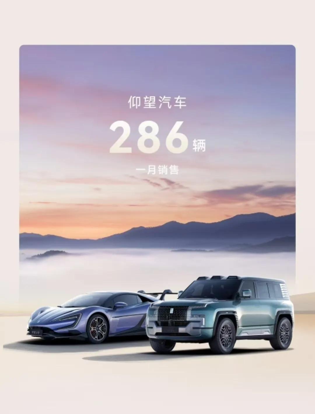 25年1月销量陆续发布，比亚迪破30万辆，同比增长47.5%。
不出意外的话，再