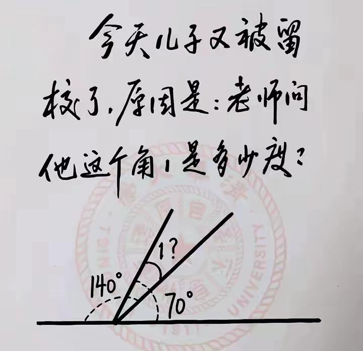∠1=？邻居小孩数学几何题怎么讲也不明白，脑子就是转不过来弯。反正就是主打一个猜