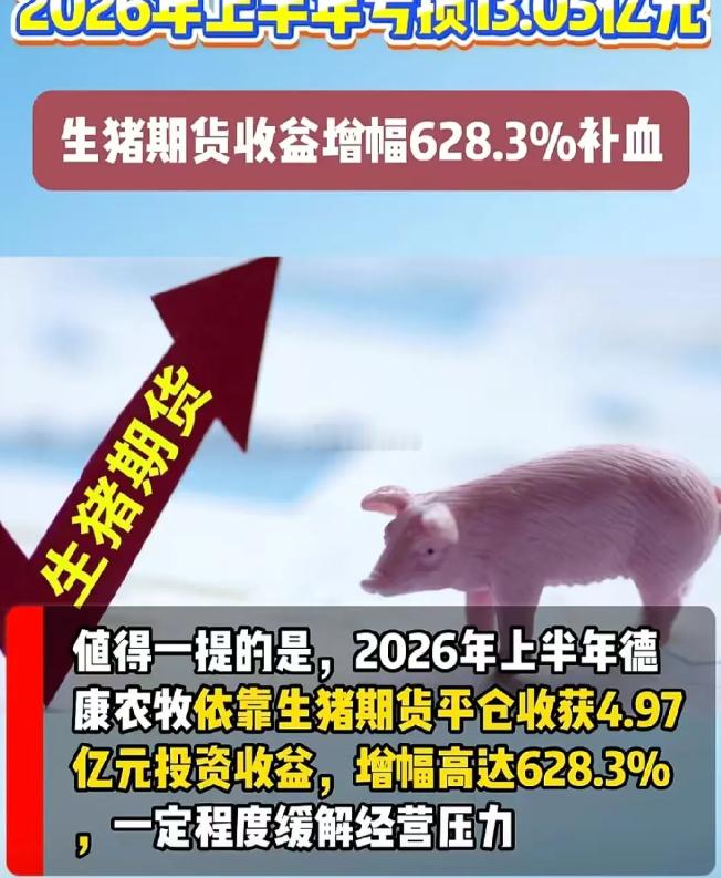 生猪企业真得好好感谢一下盘面的多头，这得贡献了多少...那纯碱玻璃PVC这种套保