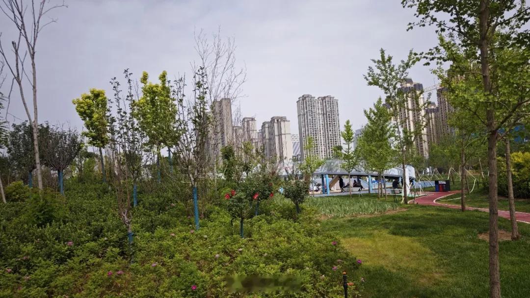 兰州城关新增4处城市绿地公园【兰州城关新增 4 处城市绿地公园！预计 11 月底