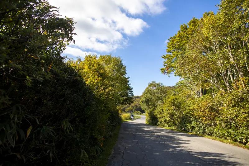 日本这雪下得太猛了！据报道，受寒潮影响，多地积雪量远超常年。北海道札幌市48小时