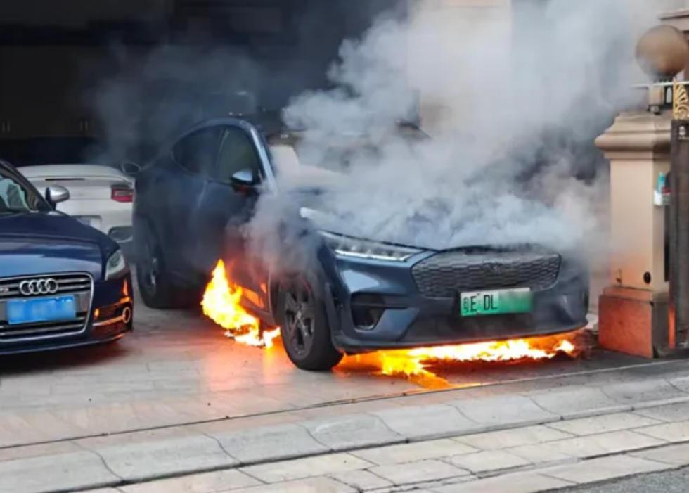 【又是啥情况？一福特电马起火燃烧】据爆料，日前在某别墅区，一辆处于停放状态的福特