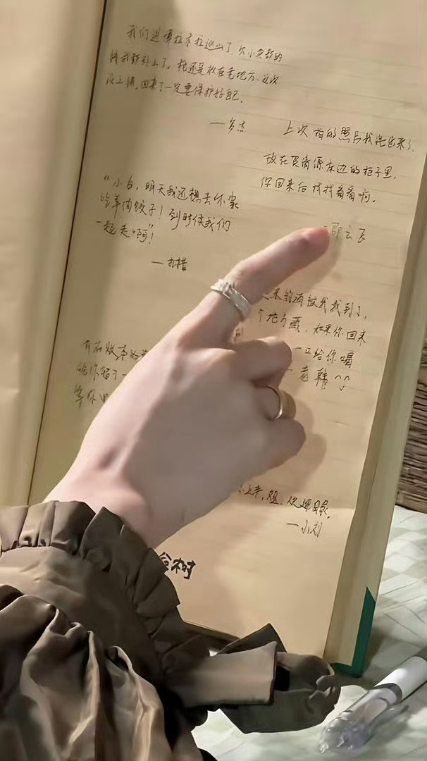 我们进博拉木拉巡山了，欠小卖部的钱我都补上了。枪还是放在老地方，这次没上锁，回来