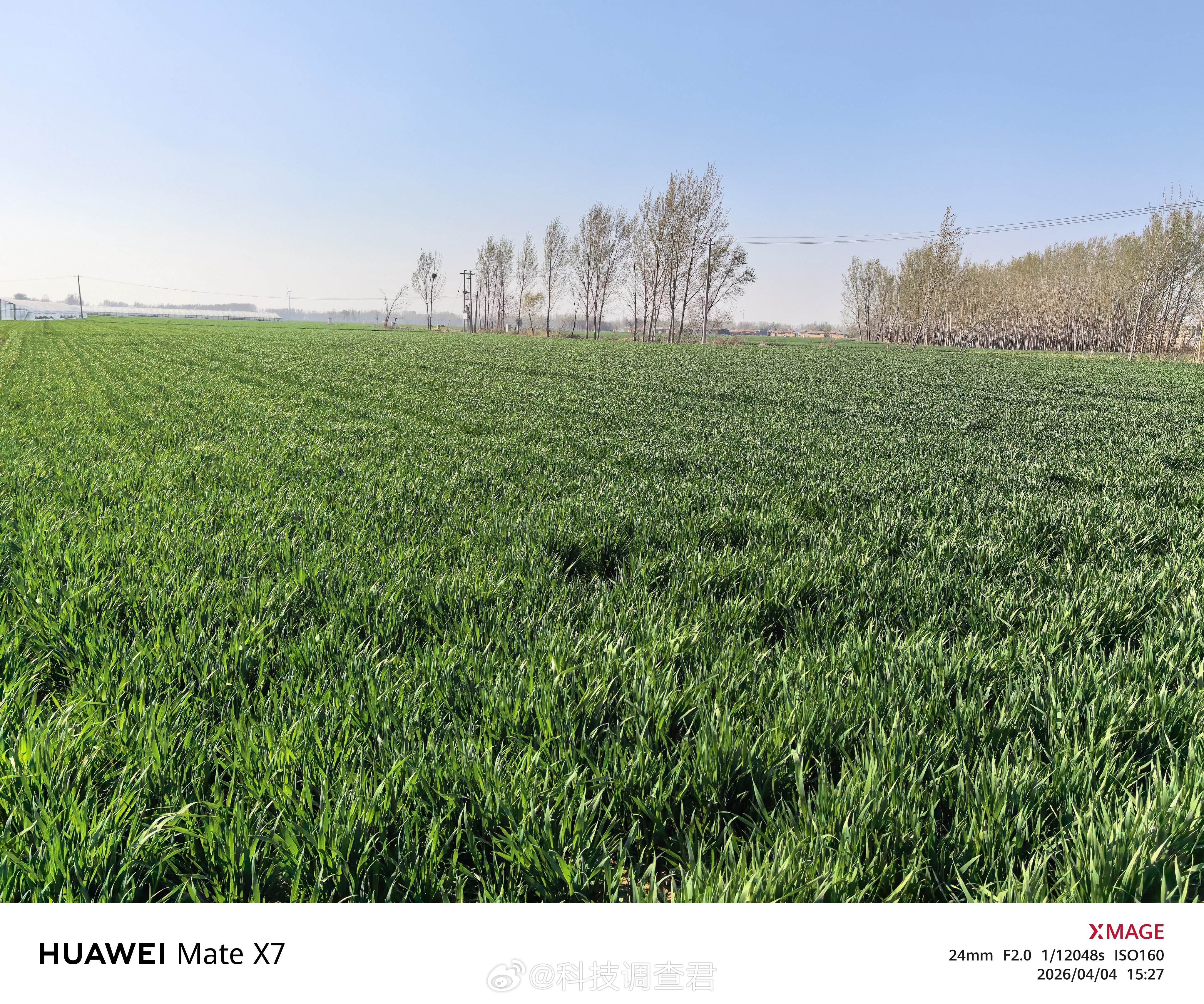 清明上山扫墓却发现母亲的墓不见了刚刚给家里的老人忙完明天早上填一把就好了话说这环