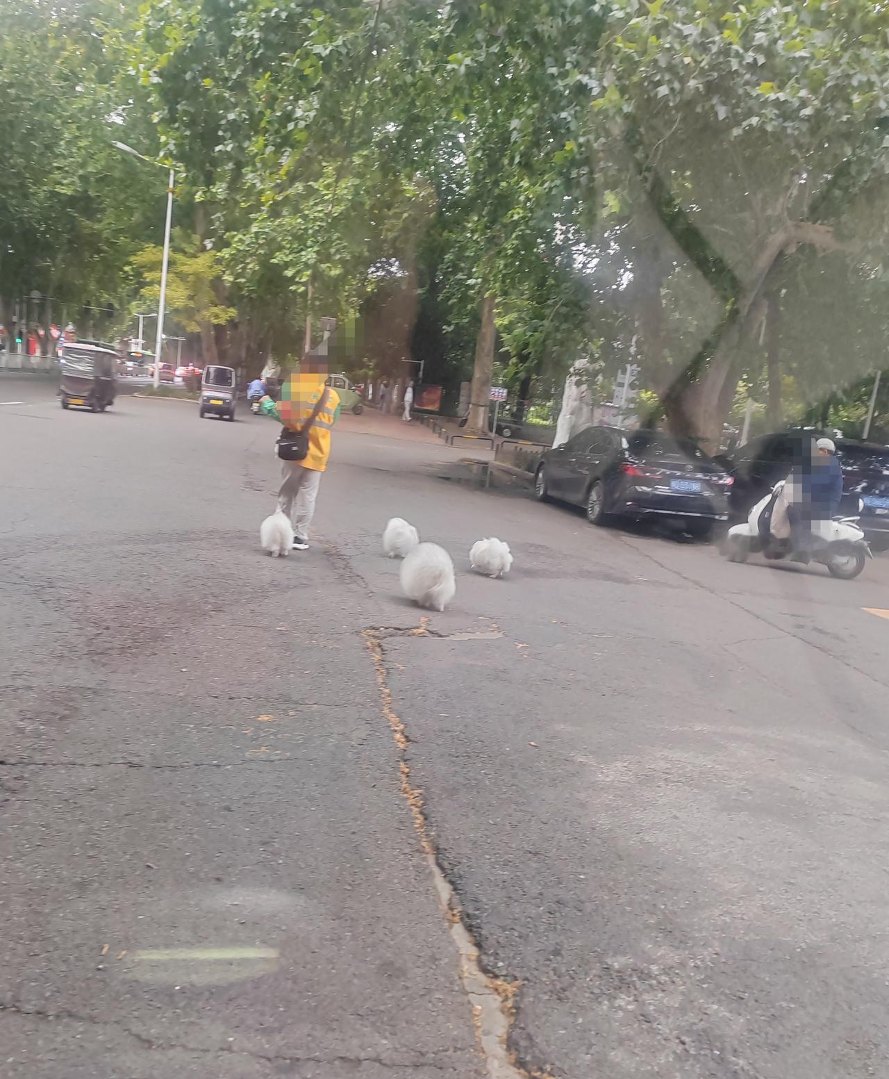 早上7点多钟，中兴路湛河桥南西侧的人行道，将近河滨公园东门出路口的地方，看到的这