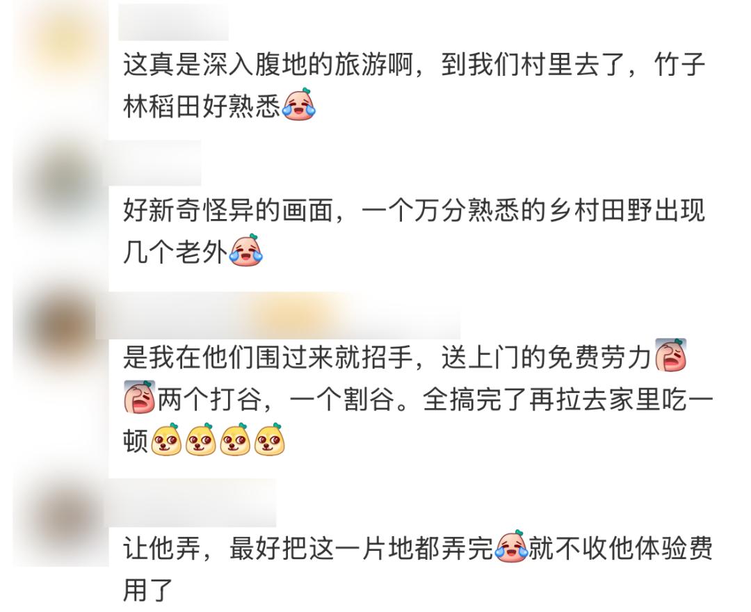中国农村，挤满了来度假的外国佬

如今外国游客的中国旅行路线彻底升级，不再只逛北