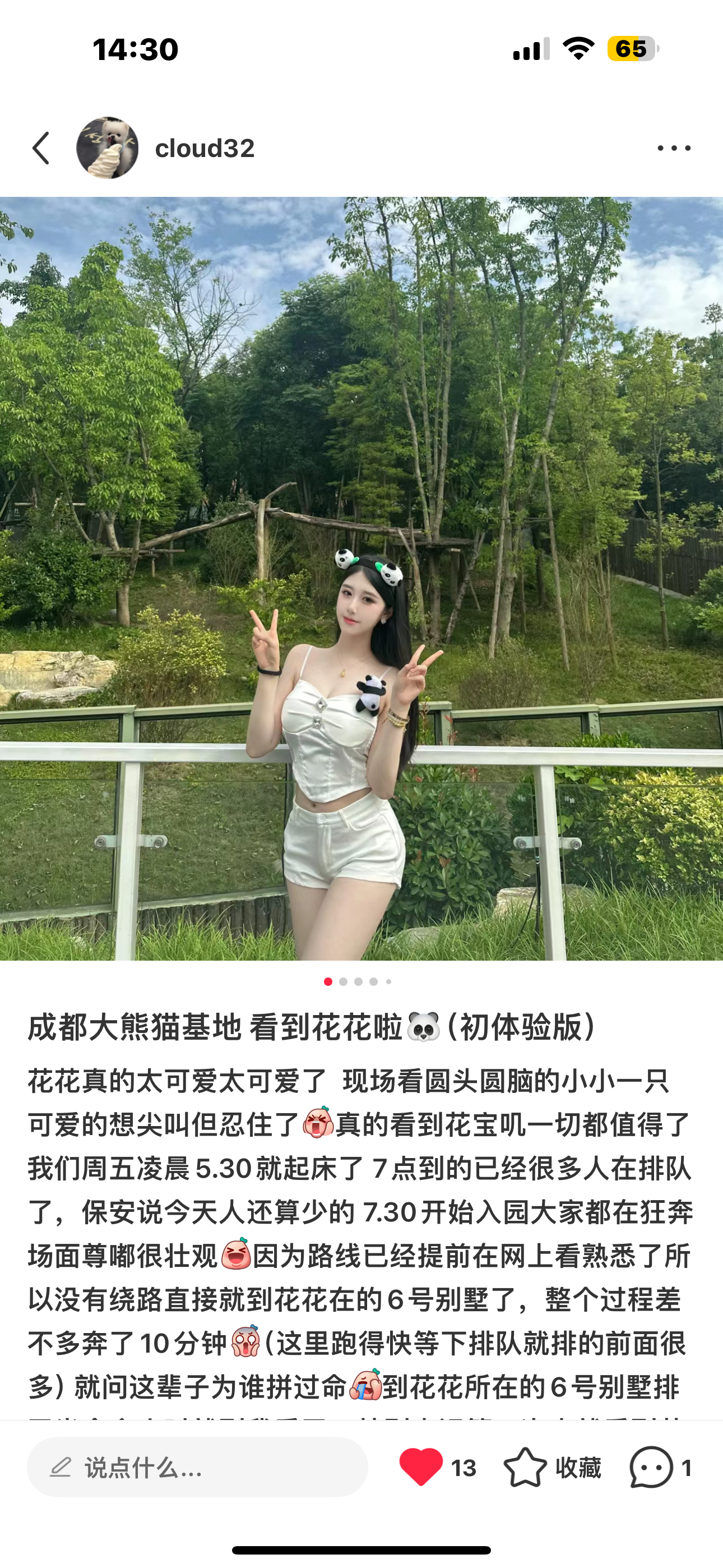 看花局的攻略写在小红书惹[熊貓]#大熊猫和花[超话]##大熊猫和花和叶##大熊猫